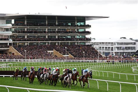 cheltenham races predictions|Preview: Cheltenham Festival 2024: Friday's tips and odds.